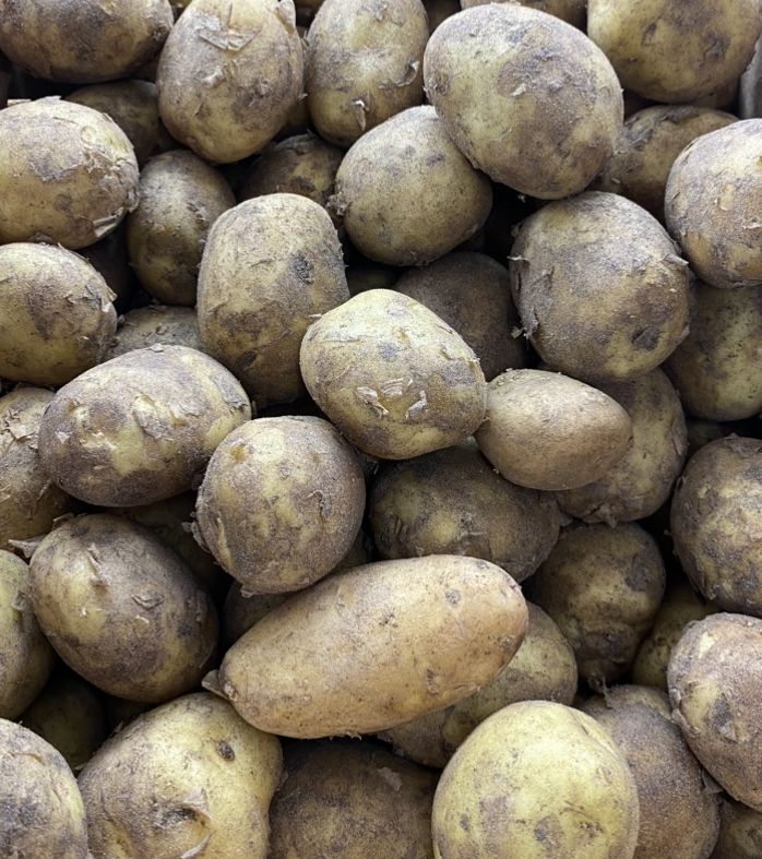 nikocado avocado nudes