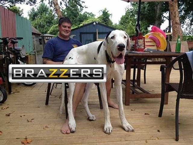 brazzers really - sex tube anal cory chase swallow