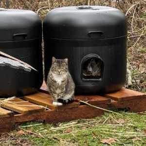 chencho lham recommends Tube Kitty