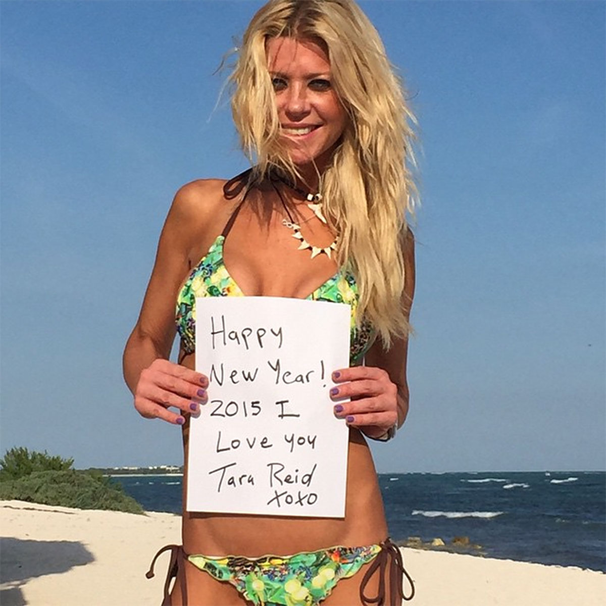 amber nicole w add photo tara reid porn