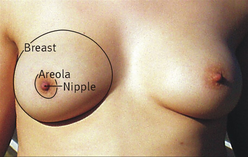 christian sonderegger like nudes boobies photo dawn ashworth recommends nudes boobies pic