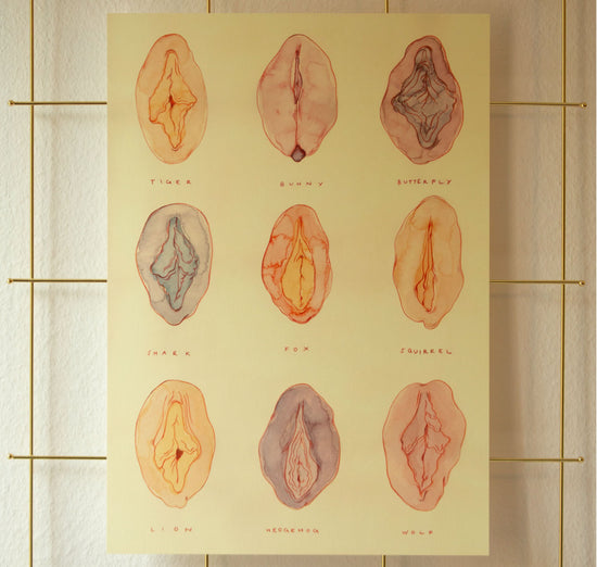 dorothy gorman recommends veronica vulva pic