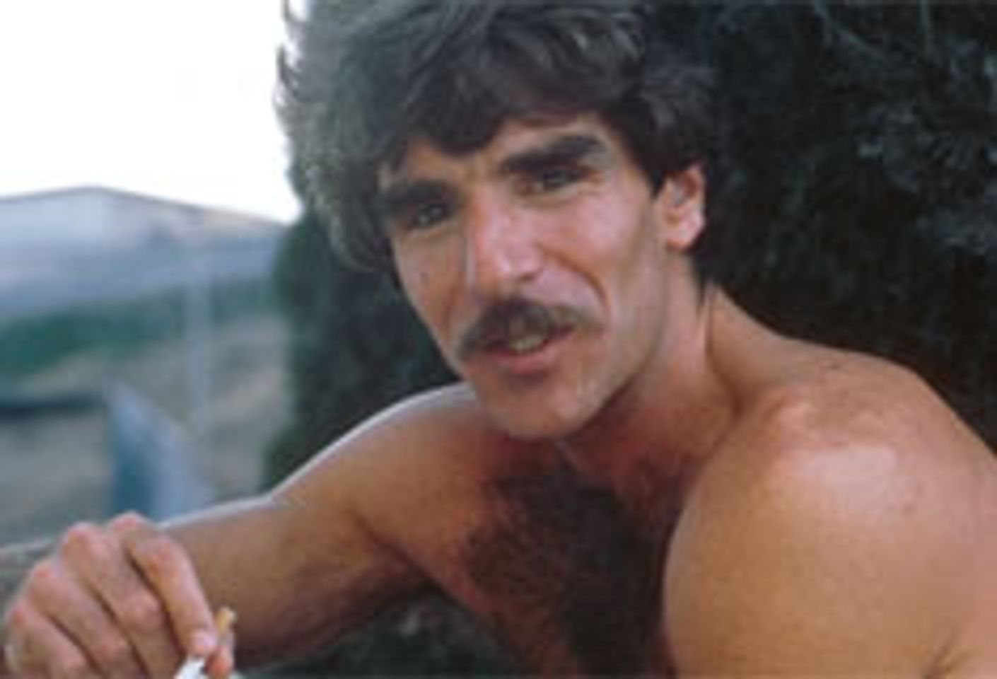 darren pollock recommends harry reems nude pic