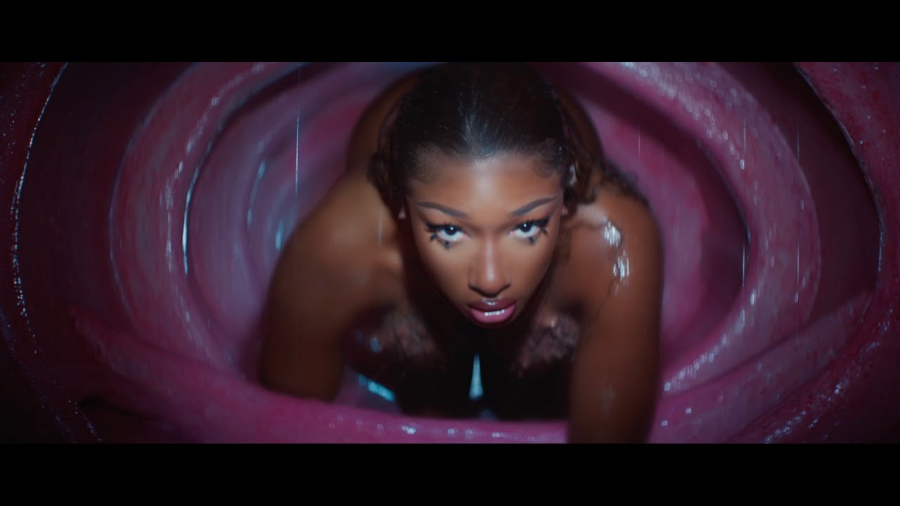 brianna dodge share megan thee stallion pmv photos