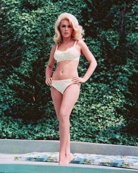 aileen manzanillo like elizabeth montgomery bikini photo asia power recommends elizabeth montgomery bikini pic