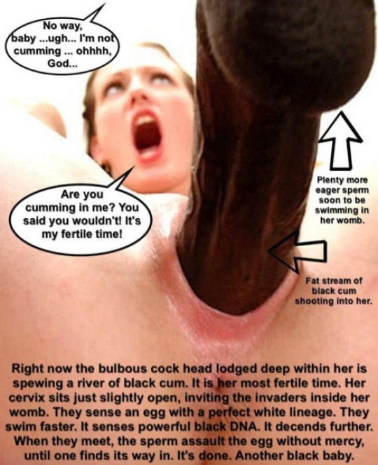 bbc breeds white wife - vore animation porn big tits in wife beater