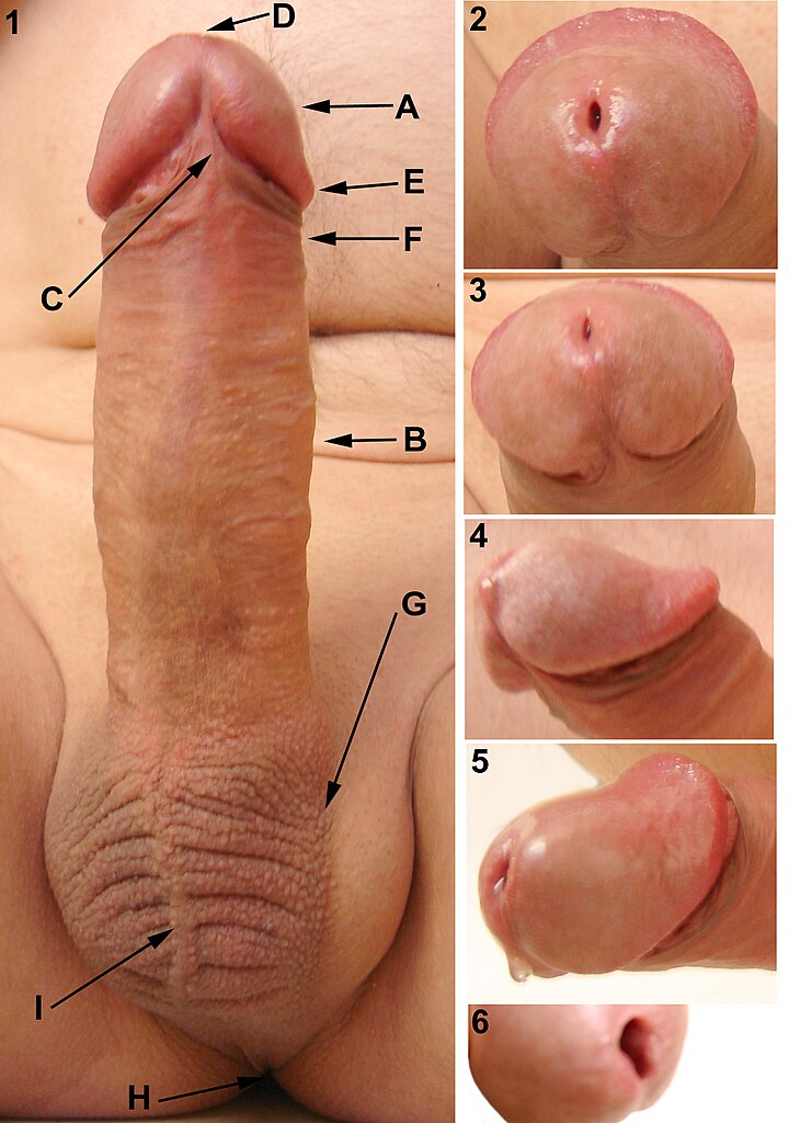 Top pics of amanda townsend's XXX archive debapriya mukhopadhyay add photo