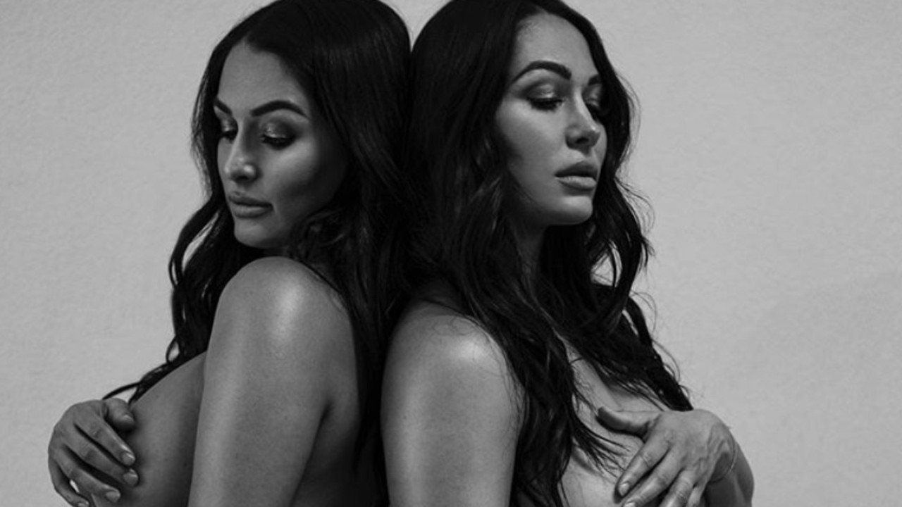 aravind jonnalagadda recommends Nude Pictures Of Nikki Bella