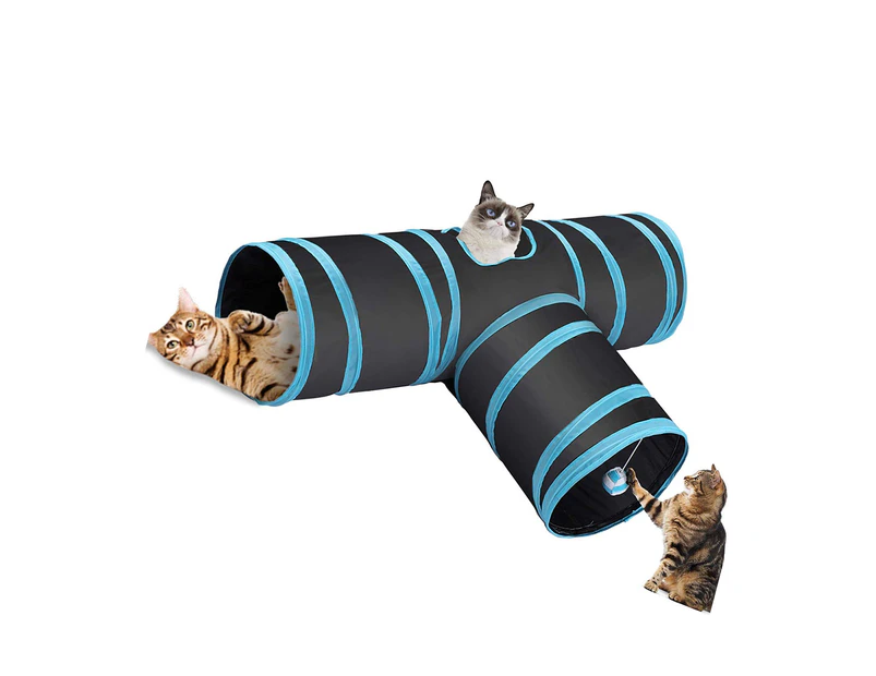 craig hervey recommends tube kitty pic