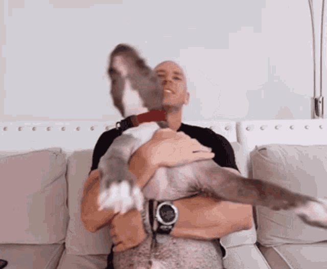 Johnny Sins Couch artsy fucksy anju francis recommends Johnny Sins Couch