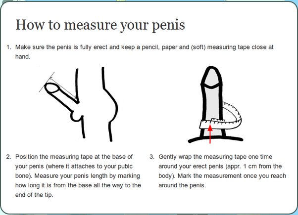ashley mealy add guys compare penises photo
