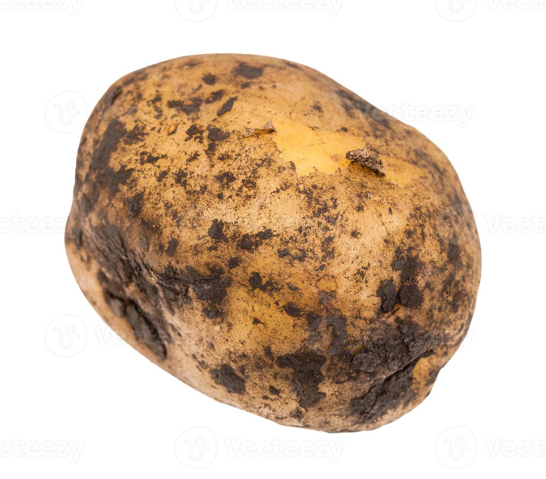 anwara parveen recommends dirty tuber pic
