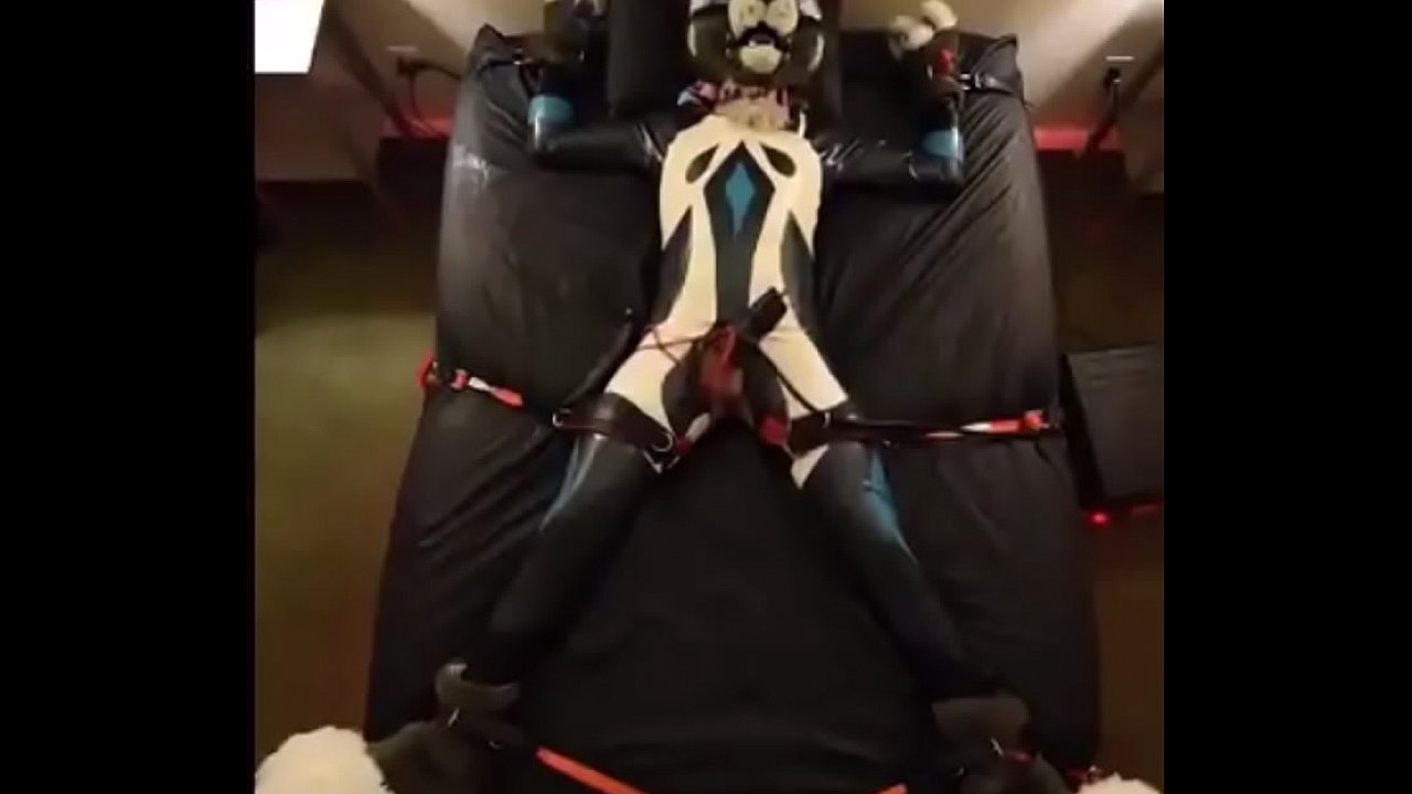 bryan wyskiel add photo furries in bondage