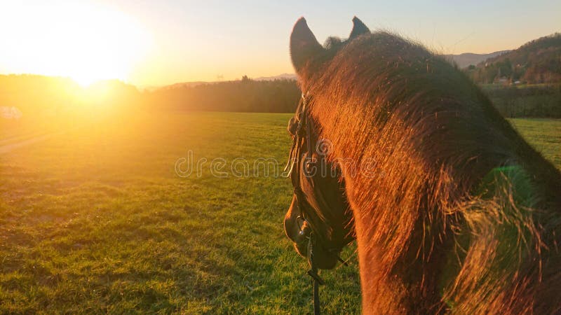 pov riding you