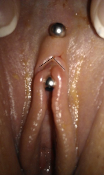 celeste faber recommends Getting Clit Pierced