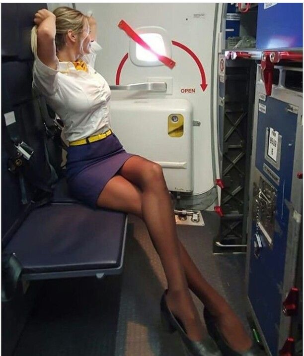 flight attendant up skirt - brazzers huge tits niece seduces uncle porn