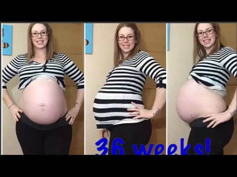 preggo live webcam nudity mybigtitsbabes preggo live webcam