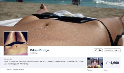 deepa dee recommends bikini bridge pictures pic