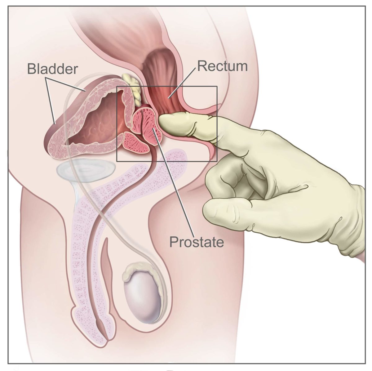 Best of Ass finger