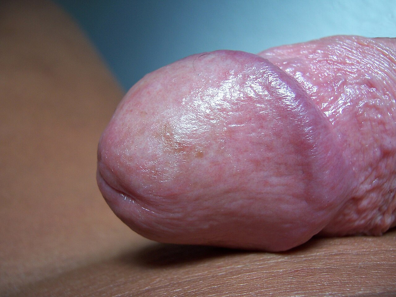first time with a strap on caleb van lue recommends Close Up Penises