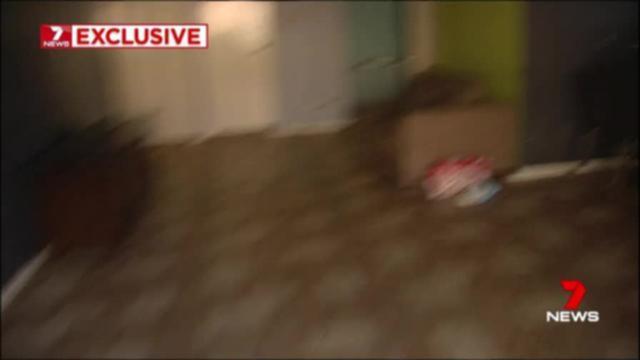 cisco pena recommends Dad And Daughter Hidden Camera