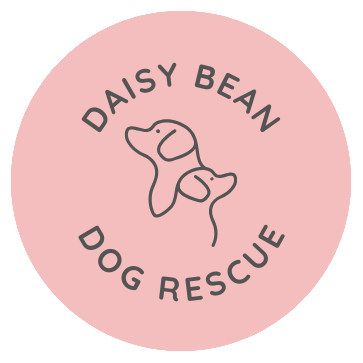 ayad farag recommends Daisy Bean