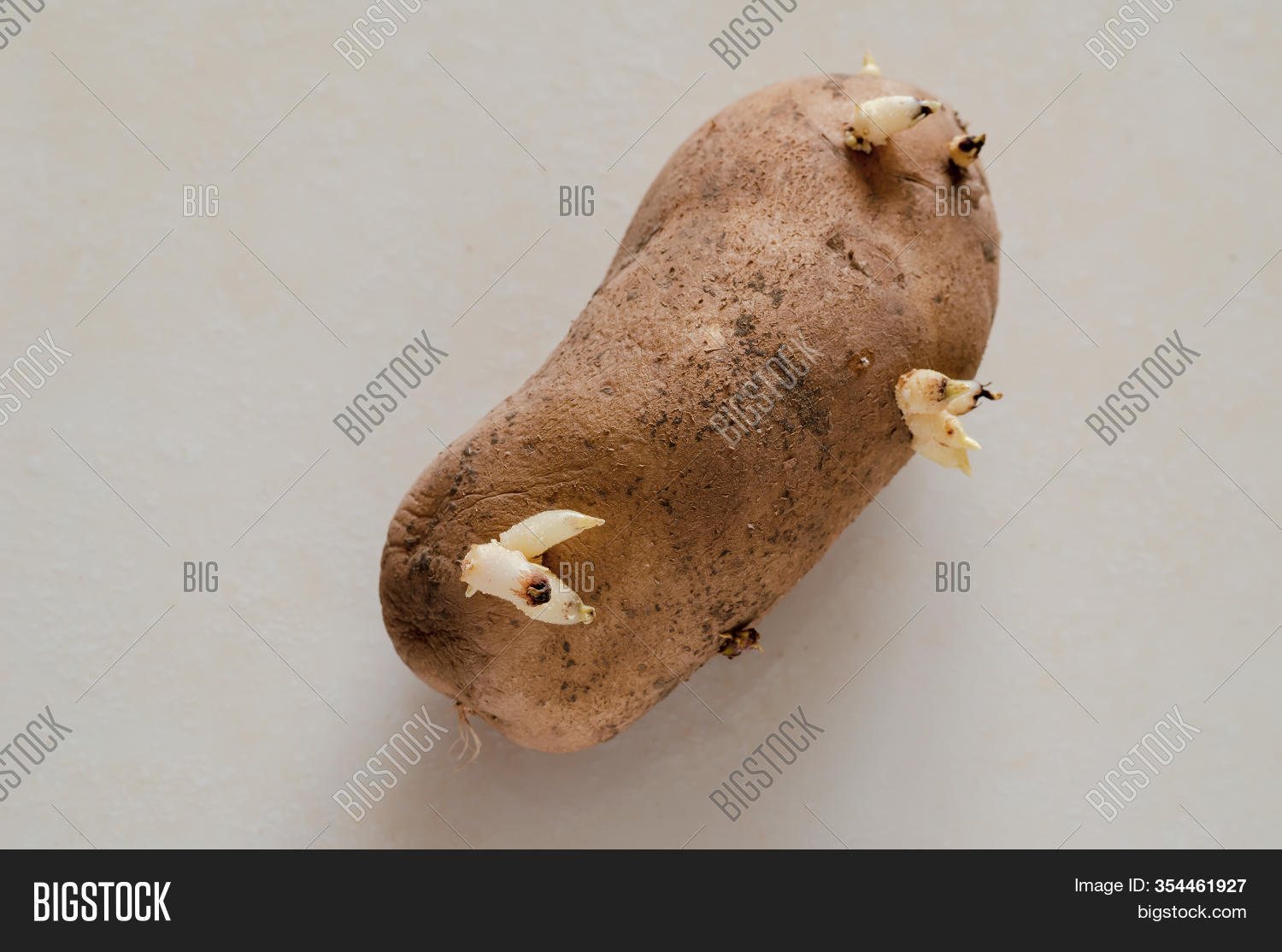 connie harman recommends Dirty Tuber