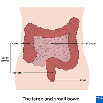 alyce simpson recommends how big is too big for anal pic