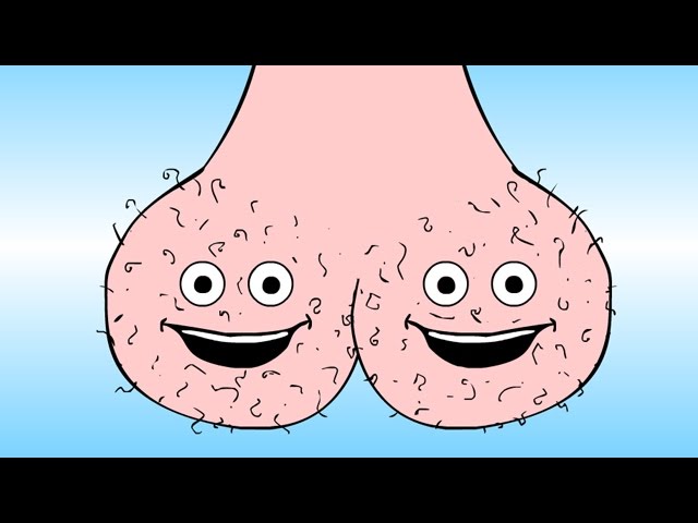 low hanging testicles videos