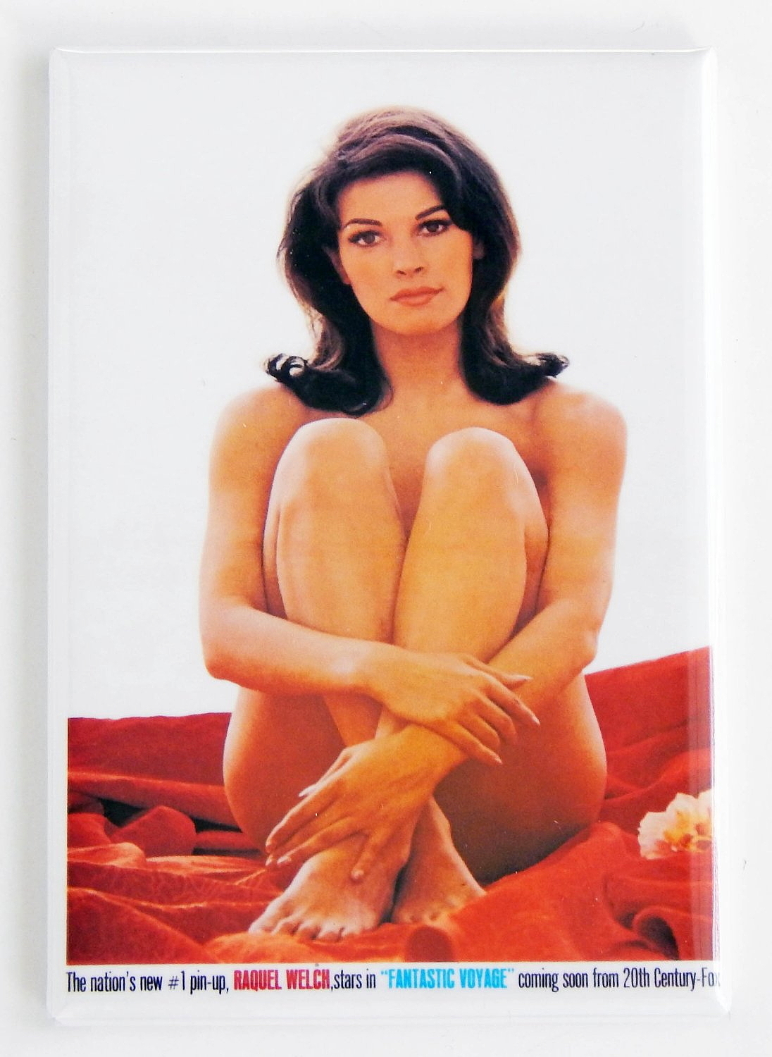 andrea proano recommends Raquel Welch Nude