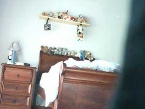 pigs gay porn