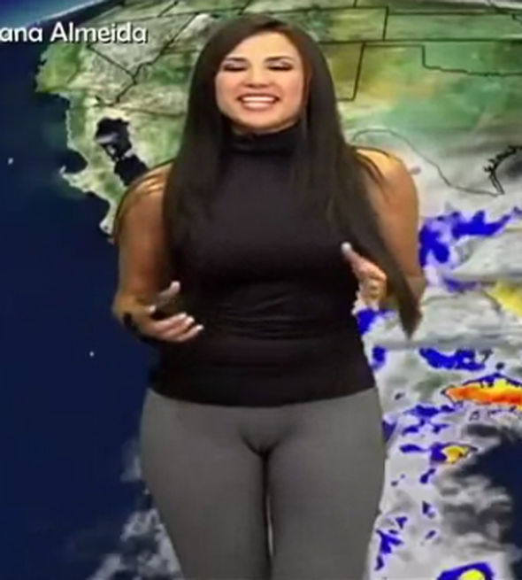 broderick taylor recommends tv cameltoe pic