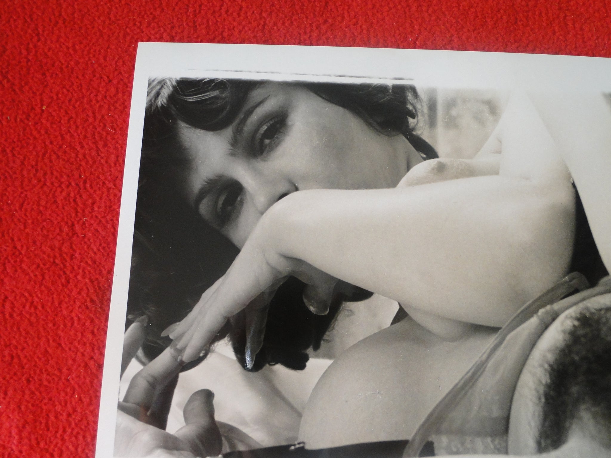 aida gegic share vintage hairy big tits photos